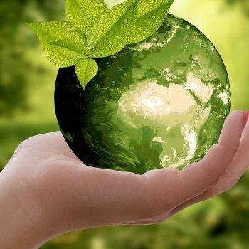 Certificazioni ambientali volontarie. Sostenibilità, trasparenza e nuove opportunità di competizione sul mercato