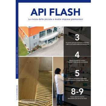 API Flash Dicembre 2022