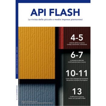 API Flash Gennaio 2023