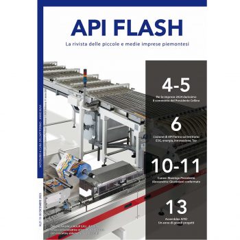 API Flash Dicembre 2023
