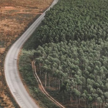 “Deforestation”, rinvio dell’applicazione dell’EUDR