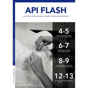 API Flash Novembre 2024