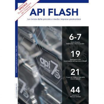 API Flash Dicembre 2024