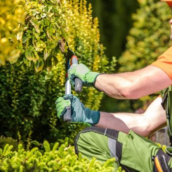 L’iniziativa “Ridaje”