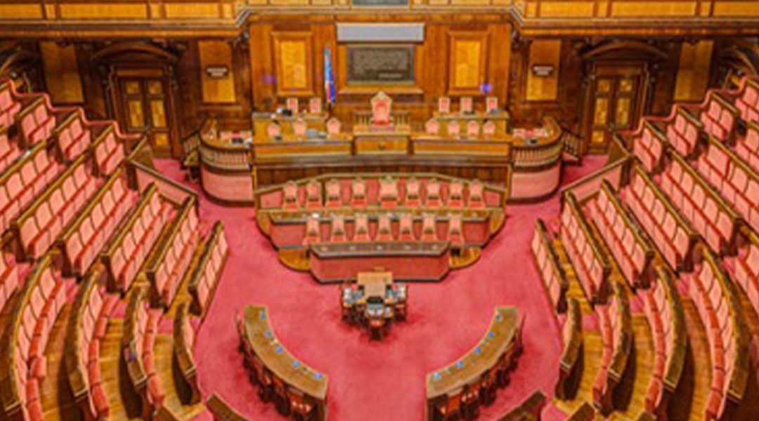 PMI, audizione in Senato