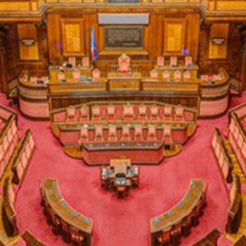 PMI, audizione in Senato