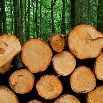 Confapi entra nel Cluster Legno Piemonte