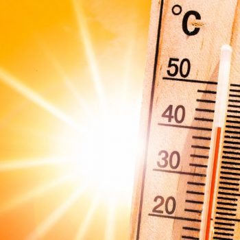 Caldo estremo e attività di vigilanza