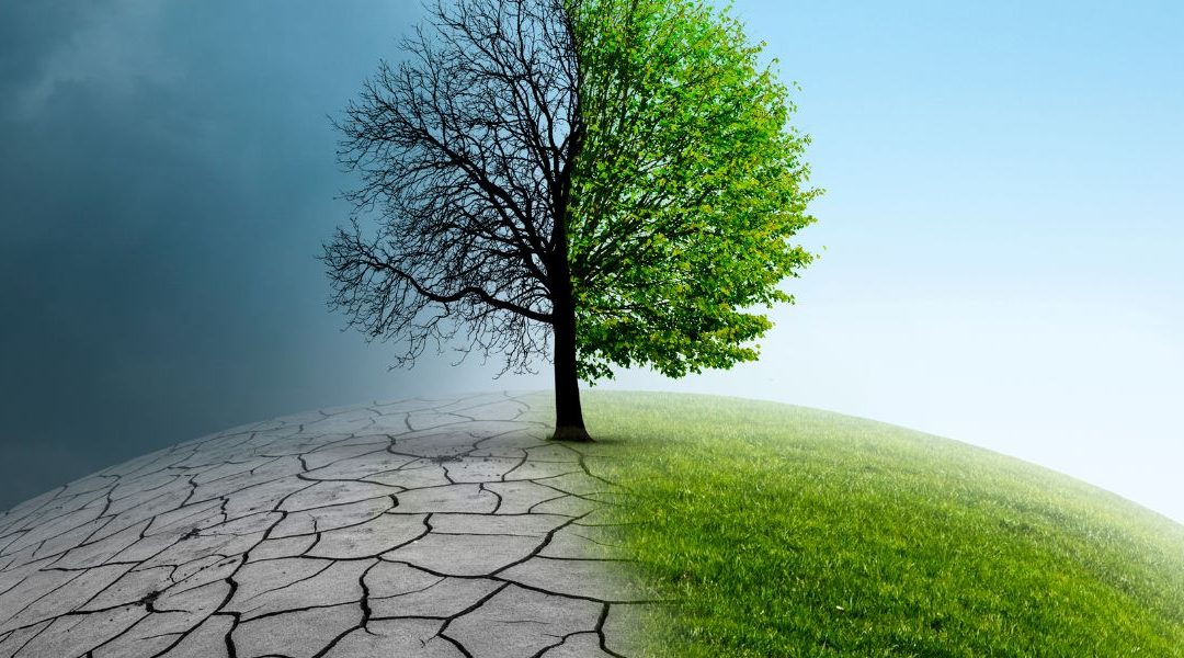 Cambiamenti climatici e sicurezza sul lavoro, nuovi rischi da gestire