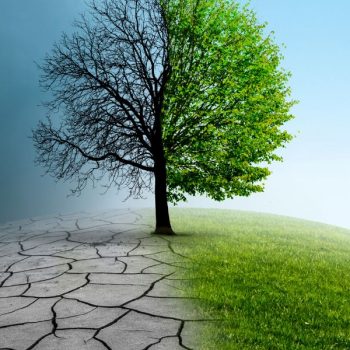 Cambiamenti climatici e sicurezza sul lavoro, nuovi rischi da gestire